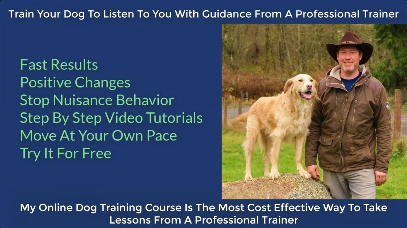 Online Dog Training Website