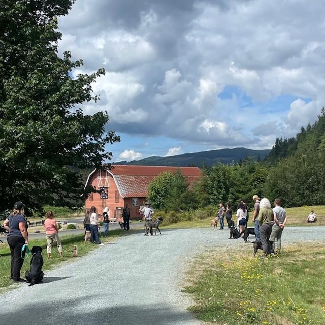 Group dog training class with handlers and dogs outdoors in Snohomish County WA
